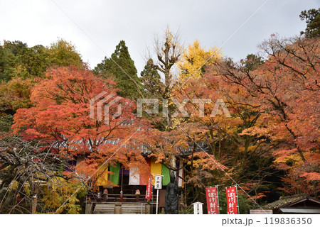 総本山泉涌寺塔頭　今熊野観音寺　大師堂 119836350