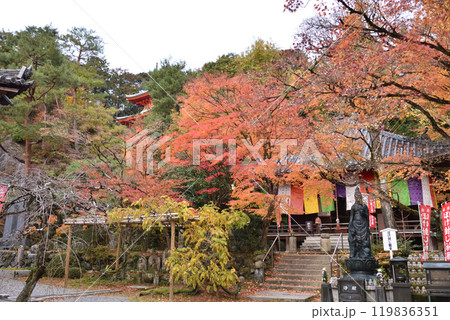 総本山泉涌寺塔頭 今熊野観音寺 大師堂 総本山泉涌寺塔頭 今熊野観音寺 大師堂 119836351