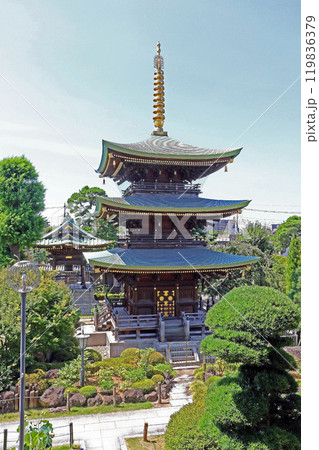 三学院（蕨） 119836379