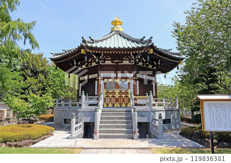 三学院（蕨） 119836381