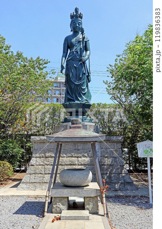 三学院(蕨) 三学院(蕨) 119836383