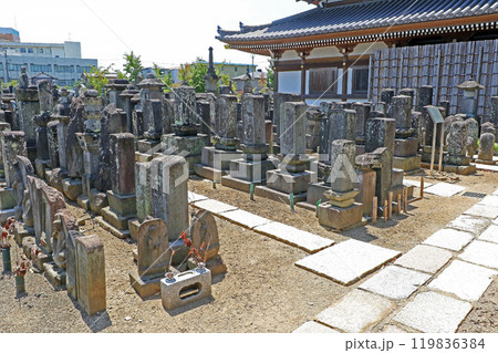 三学院(蕨) 三学院(蕨) 119836384