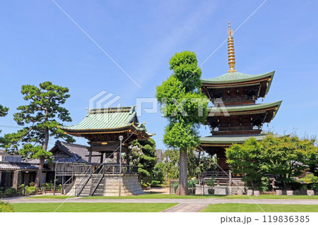 三学院（蕨） 119836385