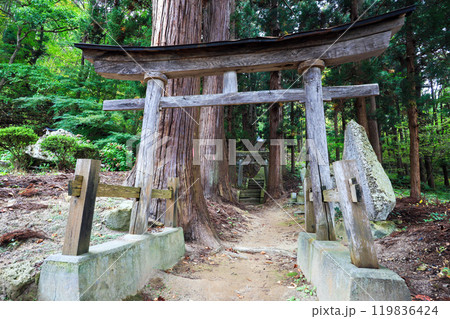 犬の宮　鳥居 119836424