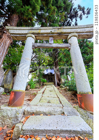 猫の宮鳥居（縦） 119836433