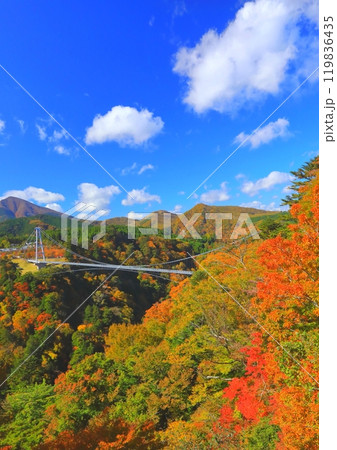 秋の九重夢大吊橋（大分県九重町・縦構図） 119836435