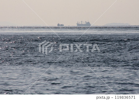 来島海峡馬島から燧灘を望む 来島海峡馬島から燧灘を望む 119836571
