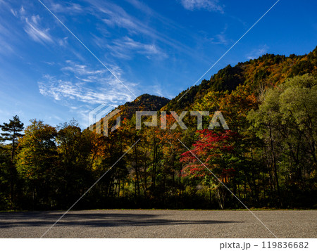 色づき始めた紅葉の樹々 色づき始めた紅葉の樹々 119836682