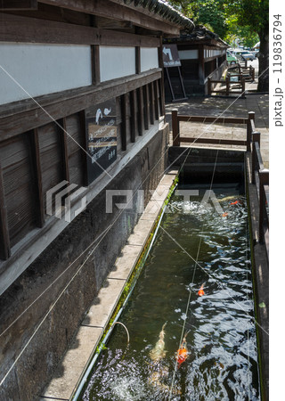 古い町並み水路を泳ぐ色とりどりの鯉 古い町並み水路を泳ぐ色とりどりの鯉 119836794