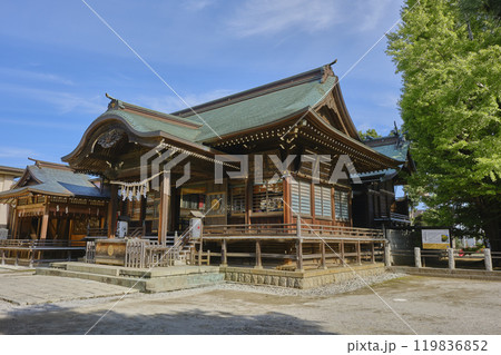 千葉県市川市 葛飾八幡宮 本殿 千葉県市川市 葛飾八幡宮 本殿 119836852