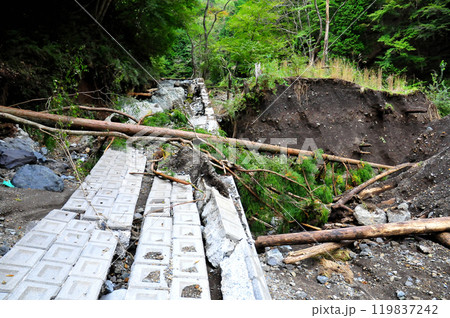 護岸が崩落し、削り取られた道路側に倒れ込んでいる 119837242