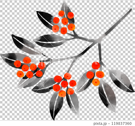 用墨畫繪製的南方天空的插圖 119837360