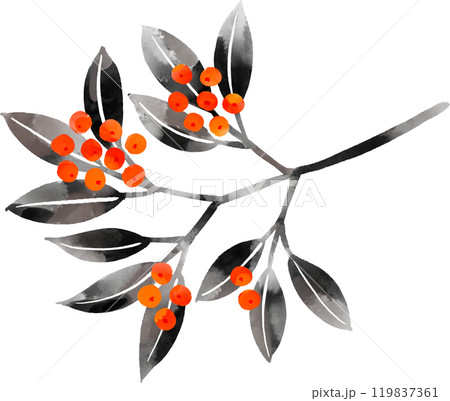 墨絵で描いた南天のイラスト 119837361