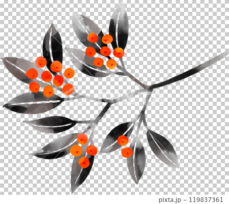 墨絵で描いた南天のイラスト 119837361