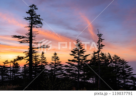 《群馬県》初夏の渋峠の夜明け・国道最高地点の絶景 119837791