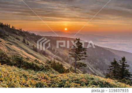 《群馬県》渋峠の夜明け・国道最高地点の眺め 119837935