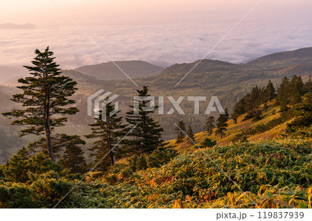 《群馬県》渋峠の夜明け・国道最高地点の眺め 119837939