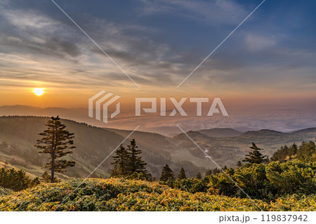 《群馬県》渋峠の夜明け・国道最高地点の眺め 《群馬県》渋峠の夜明け・国道最高地点の眺め 119837942