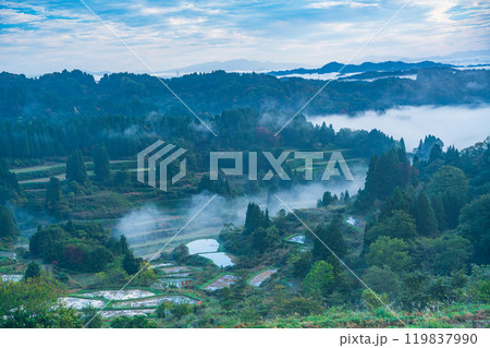 【新潟県】霧が発生した秋の星峠・棚田 119837990