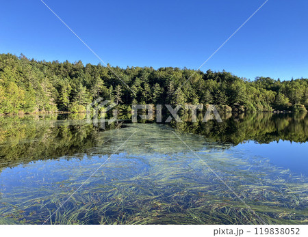 初秋の白駒池 初秋の白駒池 119838052