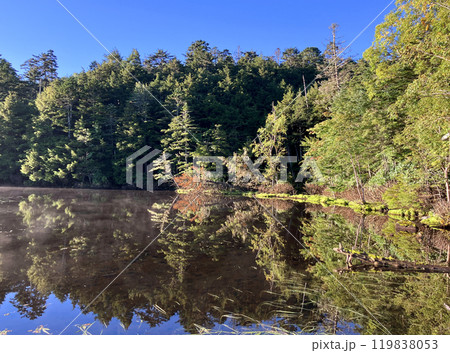 朝の陽射しと白駒池 朝の陽射しと白駒池 119838053