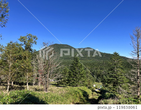 麦草峠から茶臼山・縞枯山の眺望 119838061