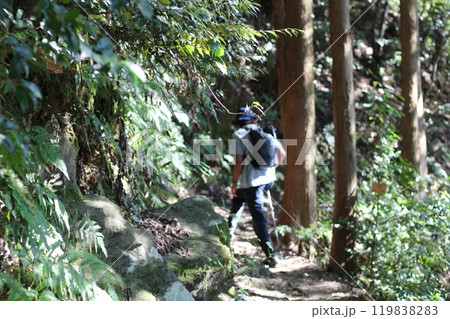 トレッキングでコースを歩く男性 光が差し込む森 トレッキングでコースを歩く男性 光が差し込む森 119838283