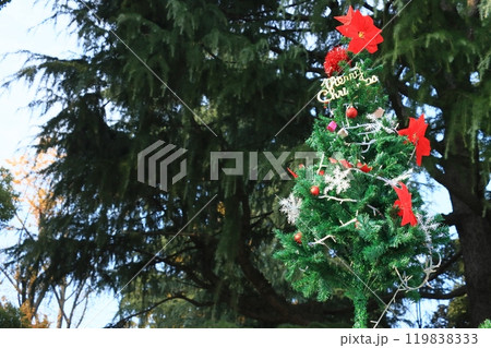 クリスマスの飾り付け　サンタクロース 119838333