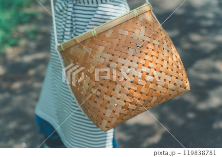 収穫かごをさげている若い女性 119838781