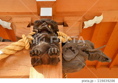 埼玉県行田市下中条 美しい治子神社 埼玉県行田市下中条 美しい治子神社 119839286