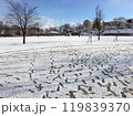 雪が積もった広い公園の地面に残された無数の足跡と青空 119839370