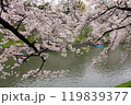 東京の桜の名所・お堀の水面に浮かぶボートと満開のソメイヨシノの風景 119839377