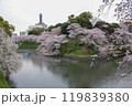 東京の桜の名所・お堀の水面を彩る満開の桜とボートを楽しむ人々の風景 119839380