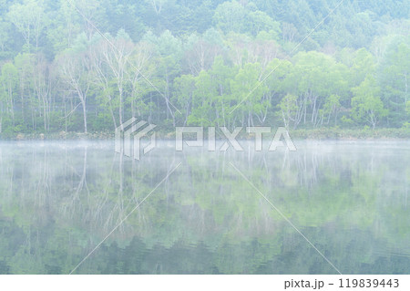 《長野県》新緑の木戸池・初夏の志賀高原 119839443