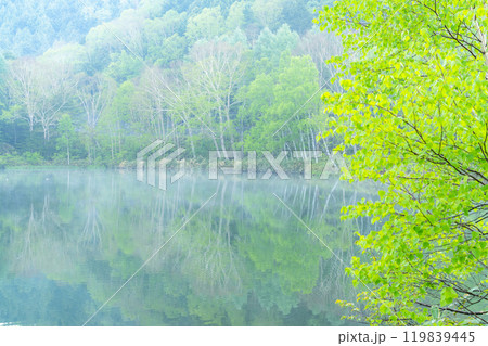 《長野県》新緑の木戸池・初夏の志賀高原 《長野県》新緑の木戸池・初夏の志賀高原 119839445