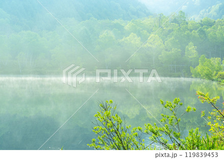 《長野県》新緑の木戸池・初夏の志賀高原 119839453