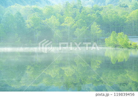 《長野県》新緑の木戸池・初夏の志賀高原 《長野県》新緑の木戸池・初夏の志賀高原 119839456