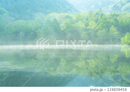 《長野県》新緑の木戸池・初夏の志賀高原 119839458