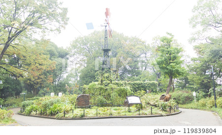 港の見える丘公園の秋 港の見える丘公園の秋 119839804