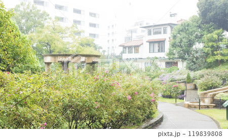 港の見える丘公園の秋 港の見える丘公園の秋 119839808