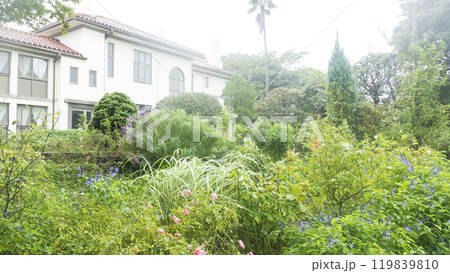 港の見える丘公園の秋 119839810