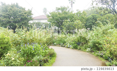 港の見える丘公園の秋 港の見える丘公園の秋 119839813