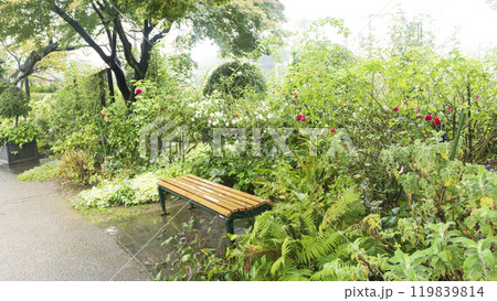 港の見える丘公園の秋 119839814