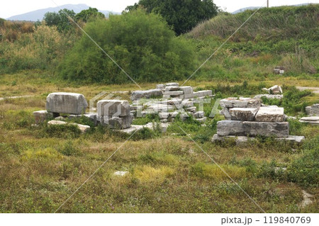 トルコ イズミル付近 エフェソスのアルテミス神殿遺跡 トルコ イズミル付近 エフェソスのアルテミス神殿遺跡 119840769