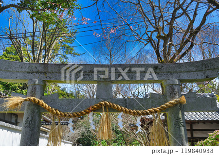 京都御苑 宗像神社(京都府京都市上京区) 京都御苑 宗像神社(京都府京都市上京区) 119840938