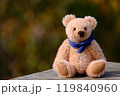 紅葉の森のマフラーをしたテディベア　赤熊　右側に配置 119840960