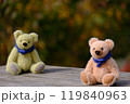 紅葉の森のマフラーをしたテディベア　ペアで間を空けて配置　背景は暗め 119840963