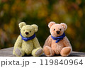 紅葉の森のマフラーをしたテディベア　ペアのアップ　背景は明るめ 119840964