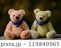 紅葉の森のマフラーをしたテディベア　ペアのアップ　背景は暗め 119840965