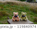 秋の草原のマフラーをしたテディベア　ススキを背にして 119840974